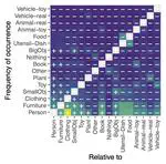 Characterizing the object categories two children see and interact with in a dense dataset of naturalistic visual experience