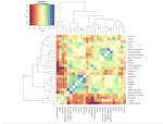 Measuring children’s early vocabulary in low-resource languages using a Swadesh-style word list